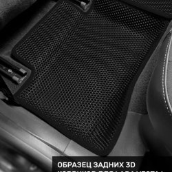 Левый пассажир